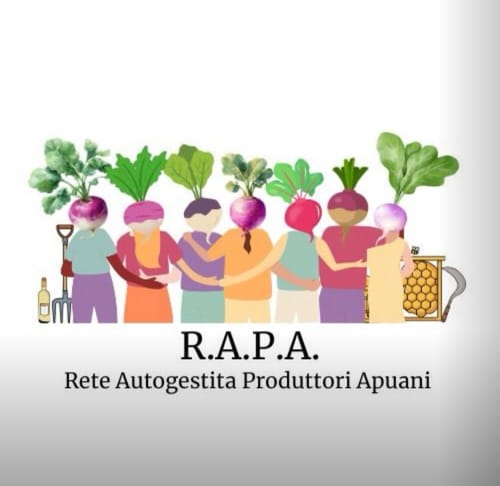 Mercato contadino 